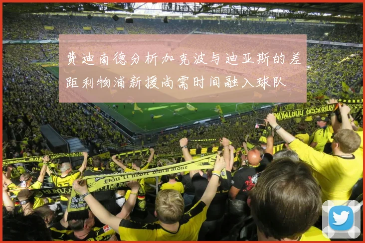 费迪南德分析加克波与迪亚斯的差距利物浦新援尚需时间融入球队